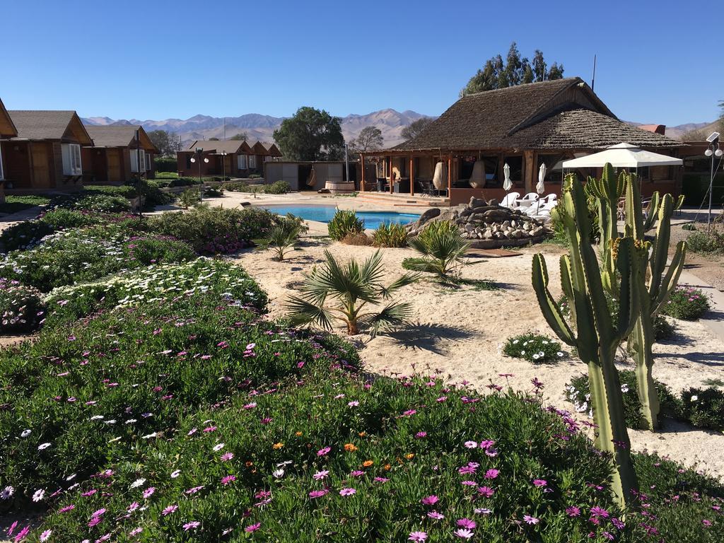 Hotel El Bramador Copiapó Kültér fotó